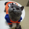 Cartoon Pet Sweater for Cats or Dogs - Image 16