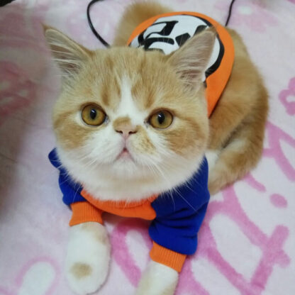 Cartoon Pet Sweater for Cats or Dogs - Image 17